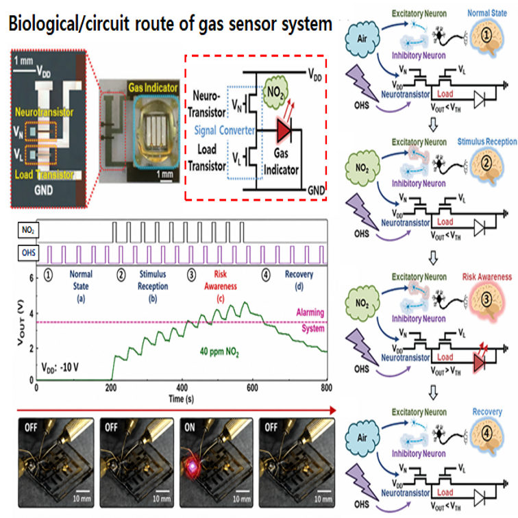 4. Al-based Sensor Devies